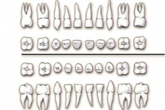 1_0002-pedodonzia2_dentista_centra_mestre